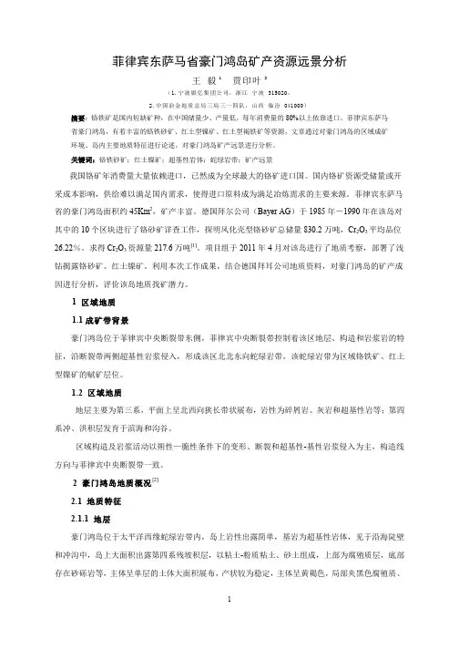 菲律宾东萨马省豪门鸿岛矿产资源远景分析