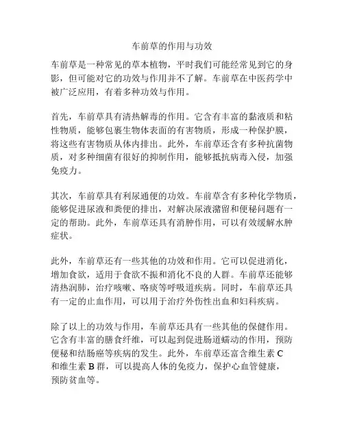 车前草的作用与功效