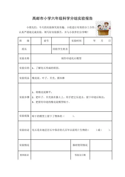 2六下《制作印迹化石模型》实验报告