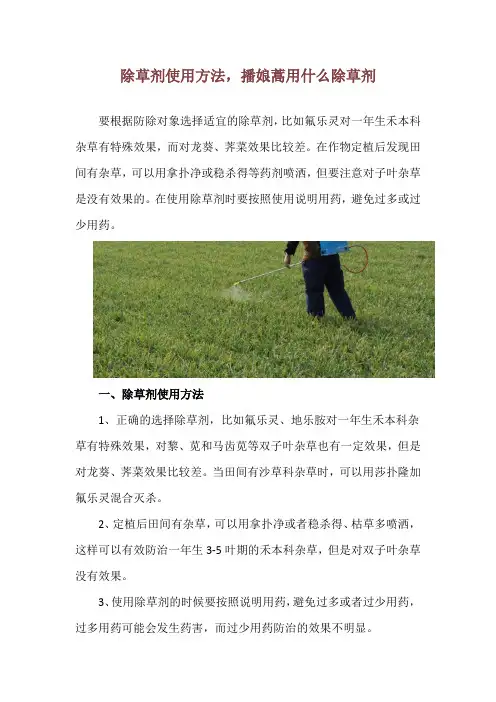除草剂使用方法,播娘蒿用什么除草剂