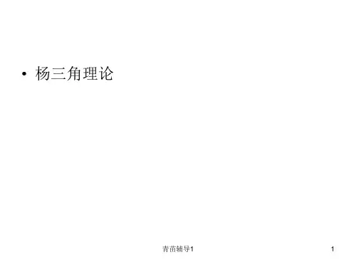 企业战略杨三角理论(主要内容)