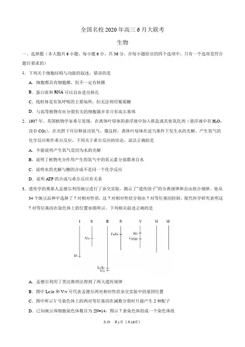 全解全析：生物-全国名校2020年高三6月大联考(新课标I卷)(考试版)