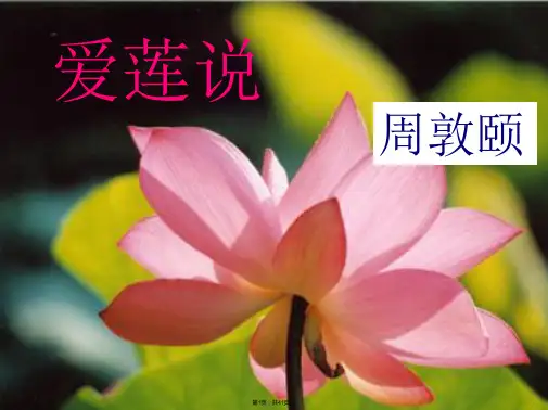 22、爱莲说优秀课件(共41张)
