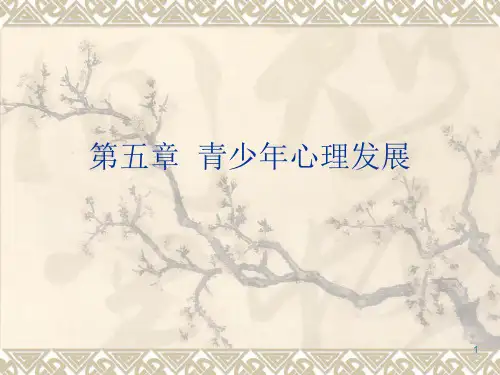第五章-青少年心理发展ppt课件