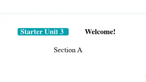 1.  2024新教材七年级上册新英语Section A