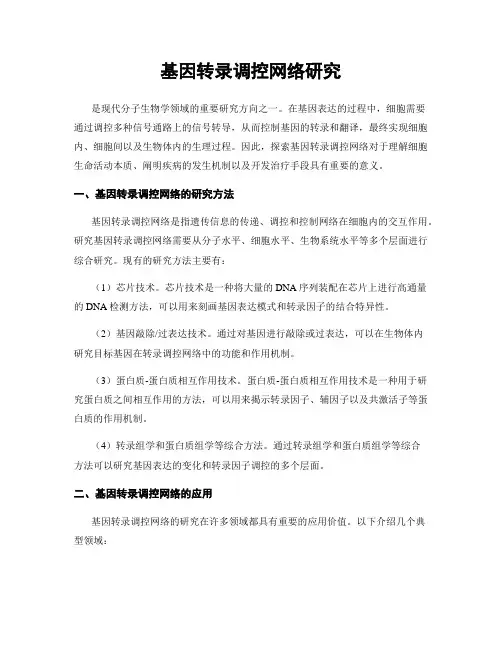 基因转录调控网络研究