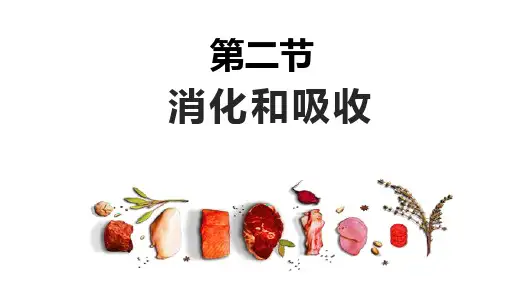 人教版七年级生物下册《消化和吸收》课件