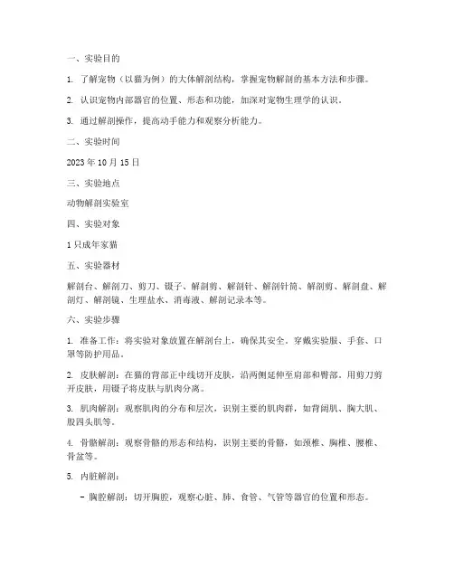宠物大体解剖实验报告