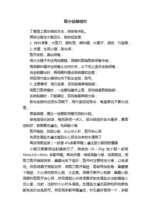 取小鼠脑组织