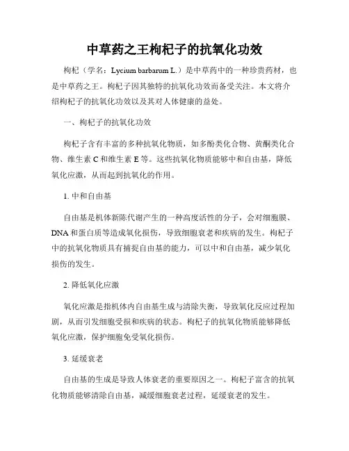 中草药之王枸杞子的抗氧化功效