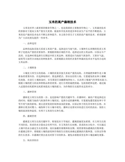 玉米的高产栽培技术