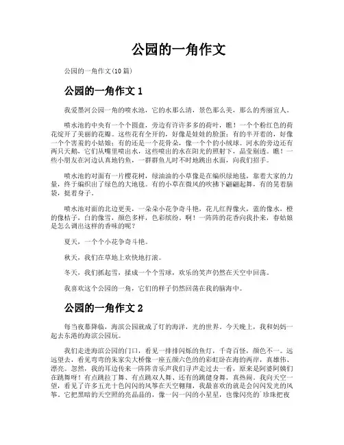 公园的一角作文
