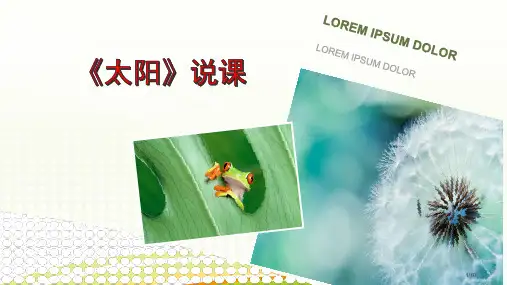 太阳说课市名师优质课赛课一等奖市公开课获奖课件