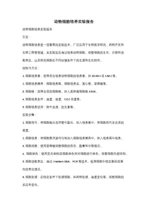动物细胞培养实验报告
