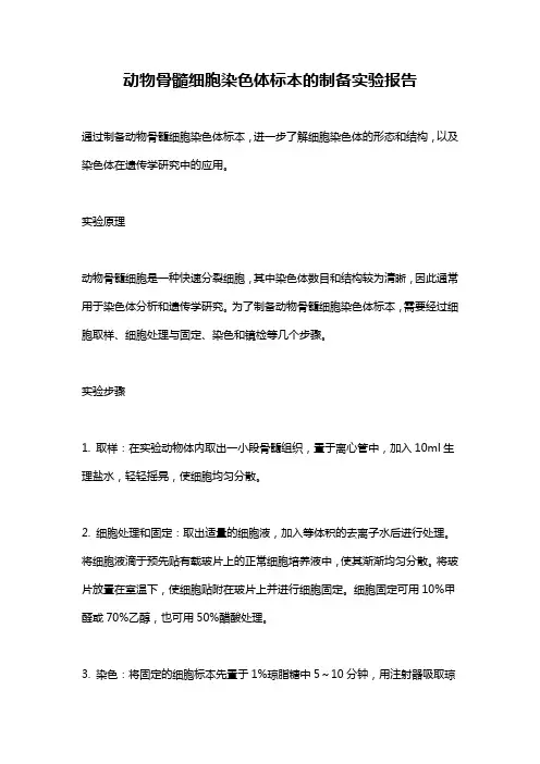动物骨髓细胞染色体标本的制备实验报告