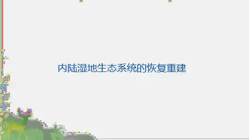 内陆湿地生态系统的恢复重建