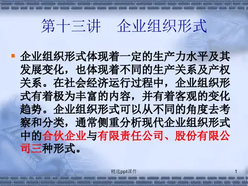 企业组织形式(最新)