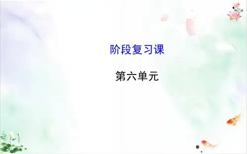 第六碳和碳的化合物复习课ppt