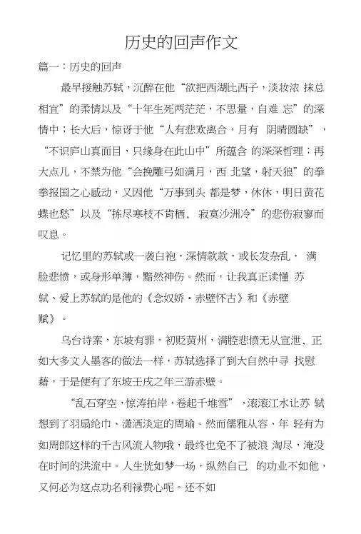 历史的回声作文