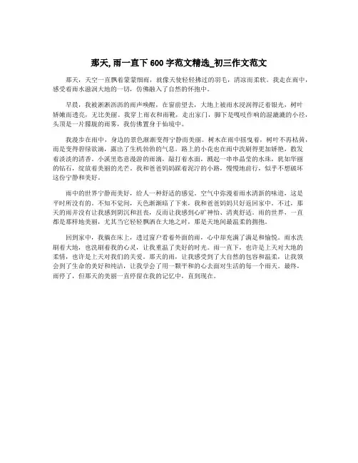 那天,雨一直下600字范文精选_初三作文范文