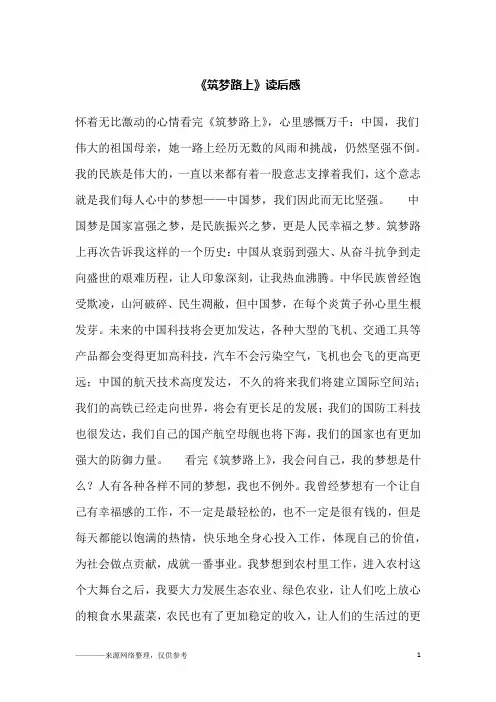 《筑梦路上》读后感_10