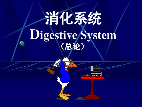 消化系统总论