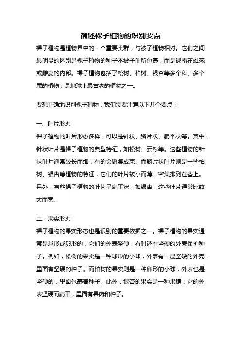 简述裸子植物的识别要点