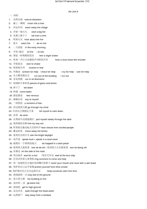 8A-Unit-8-nature-disaster词组