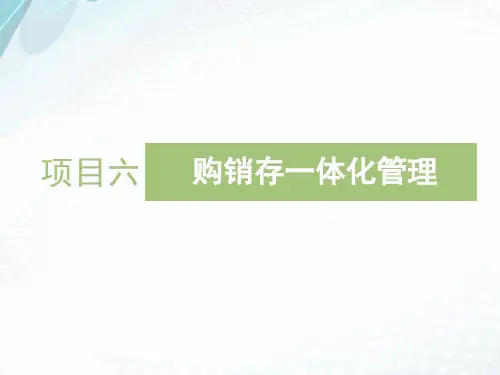 《会计电算化》(T3版) 项目六——购销存一体化管理