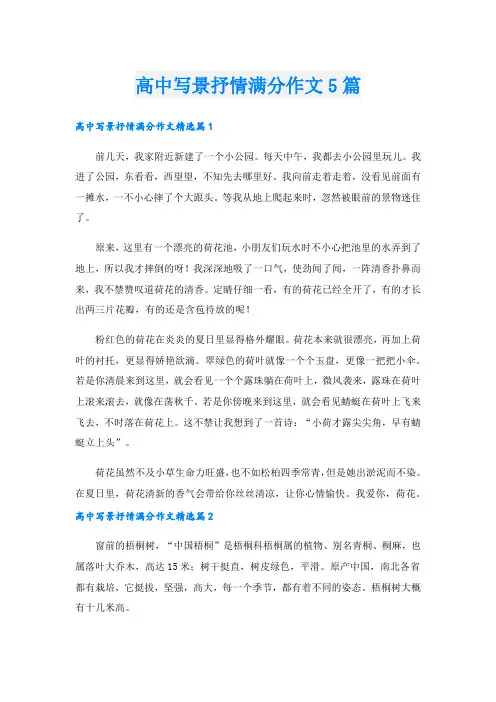 高中写景抒情满分作文5篇.doc