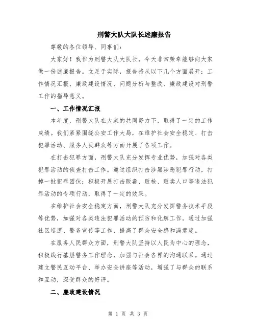 刑警大队大队长述廉报告