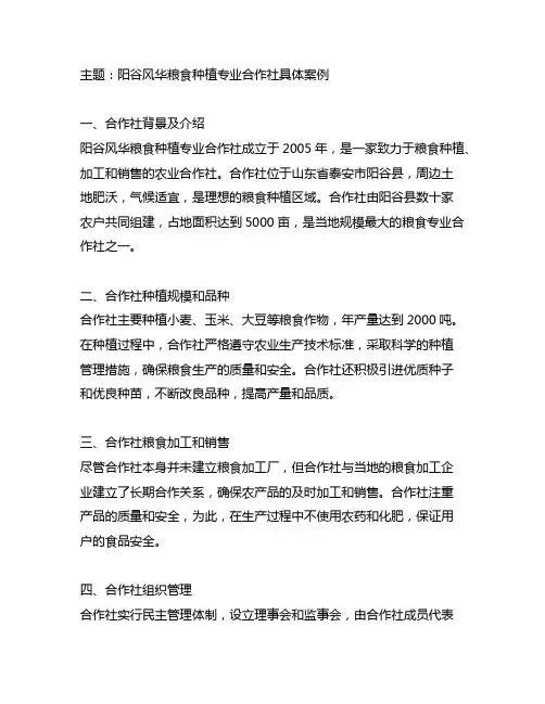 阳谷风华粮食种植专业合作社具体案例