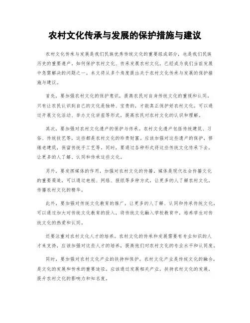 农村文化传承与发展的保护措施与建议