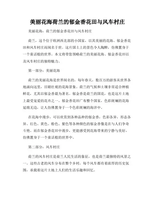 美丽花海荷兰的郁金香花田与风车村庄