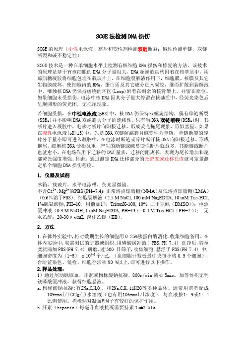 SCGE法检测DNA损伤(包括DNA单链断裂和DNA交联)