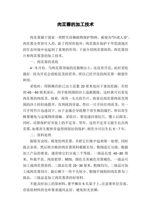 肉苁蓉的加工技术