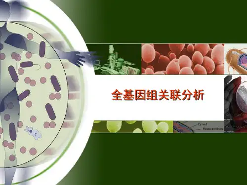 全基因组关联分析.ppt