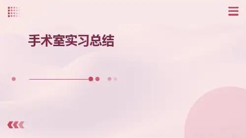 手术室实习总结PPT课件