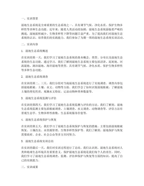 湿地生态系统的实训报告