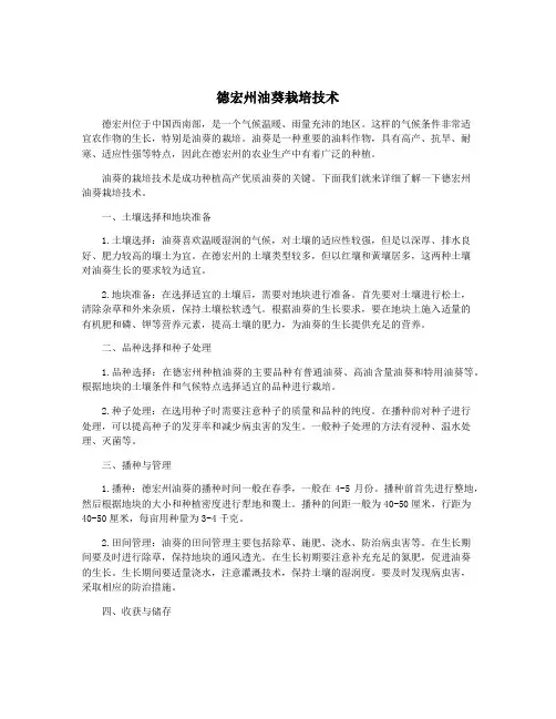 德宏州油葵栽培技术