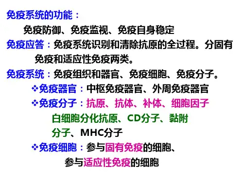 第9章B淋巴细胞ppt课件