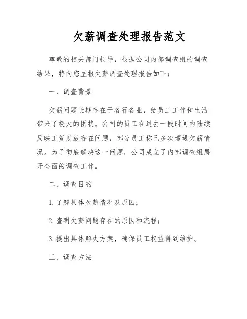 欠薪调查处理报告范文