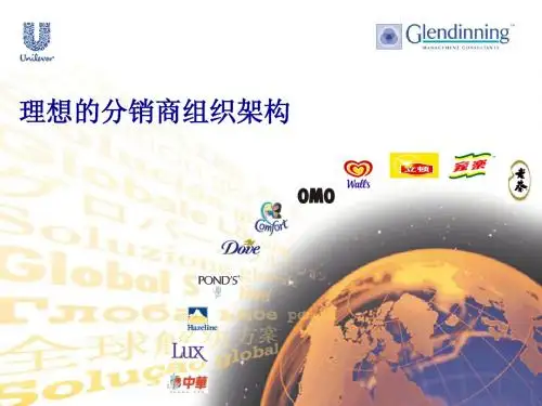 联合利华- 06理想的分销商组织架构-0802