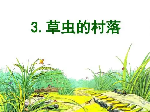 10《草虫的村落》ppt课件 (1)