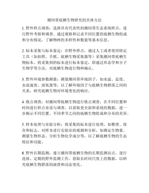 潮间带底栖生物研究的具体方法