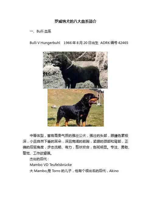 罗威纳犬的八大血系简介