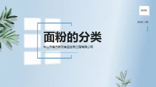 面粉的分类
