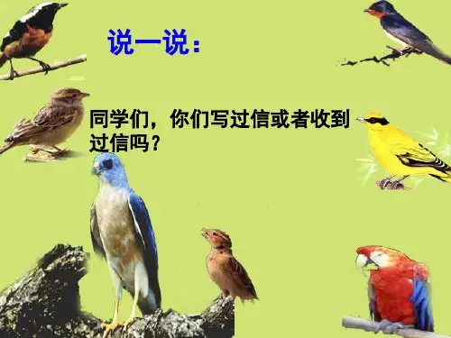 新尺有所短寸有所长(课堂PPT)