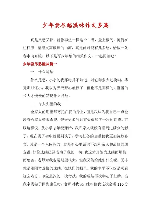 少年尝尽愁滋味作文多篇