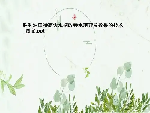 胜利油田特高含水期改善水驱开发效果的技术_图文